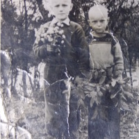 фотография